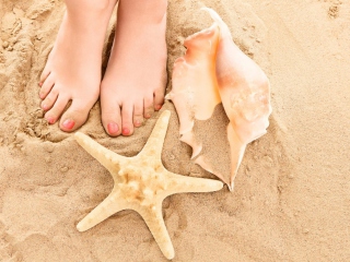 Seashell, Seastar And Sandy Feet screenshot #1 320x240