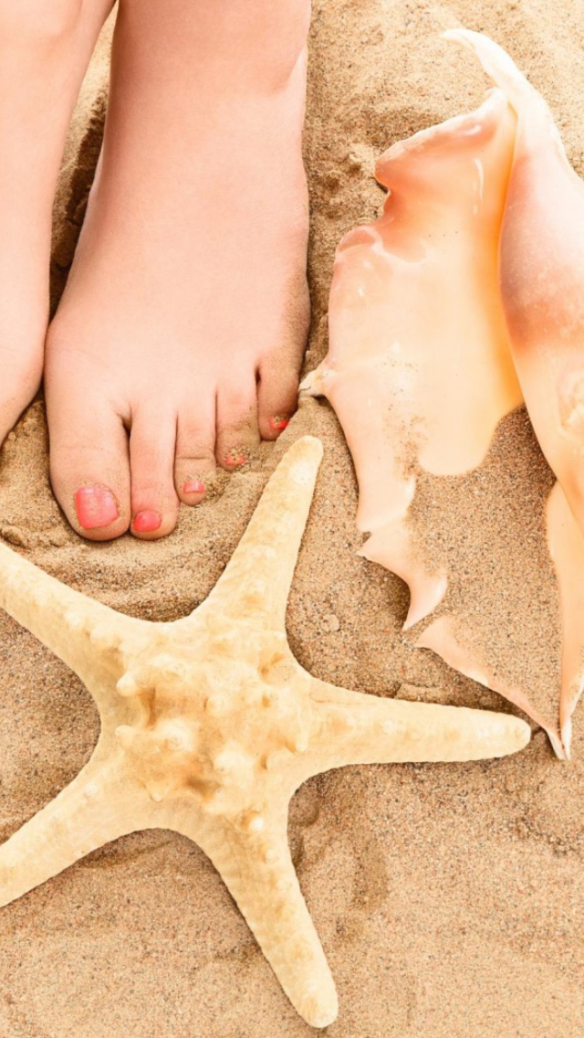 Sfondi Seashell, Seastar And Sandy Feet 640x1136