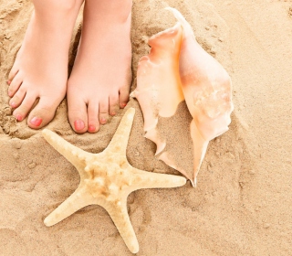 Seashell, Seastar And Sandy Feet - Obrázkek zdarma pro 128x128