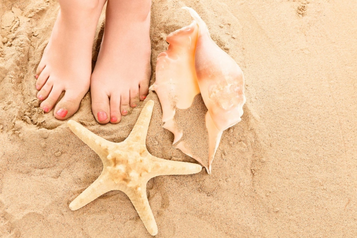 Обои Seashell, Seastar And Sandy Feet