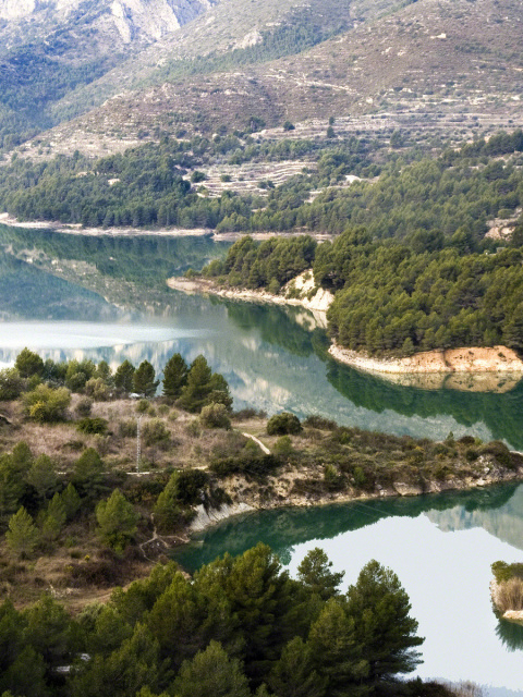 Sfondi River in Mountain 480x640