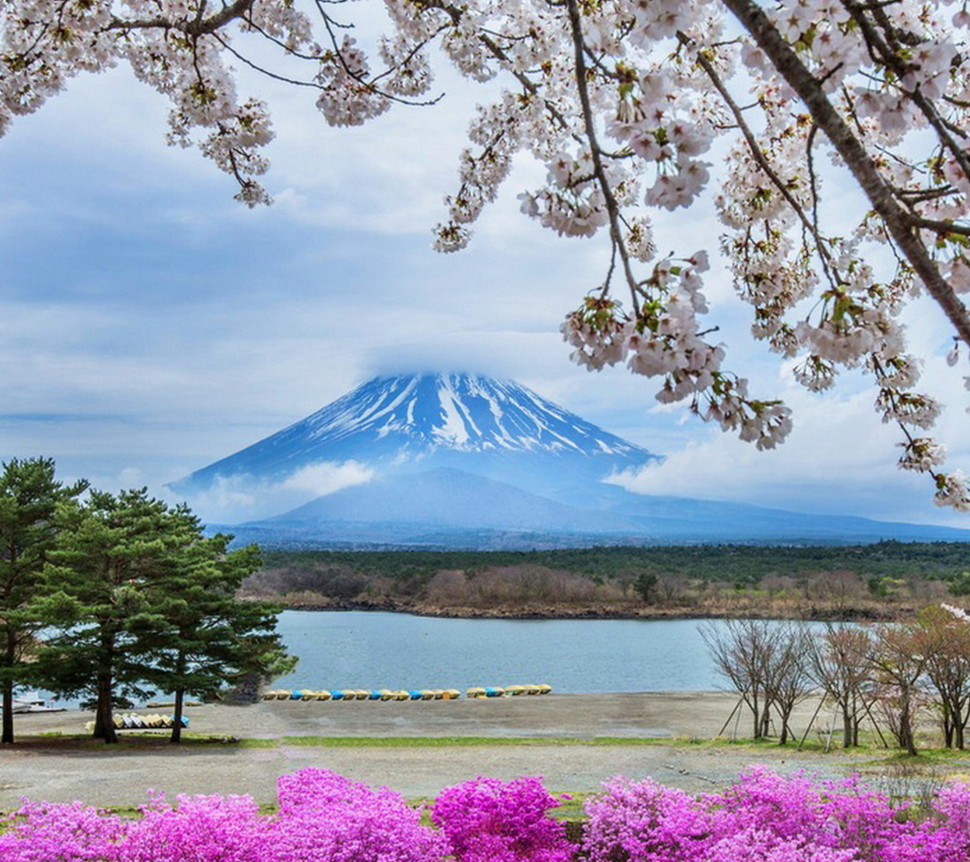 Sfondi Spring in Japan 1080x960