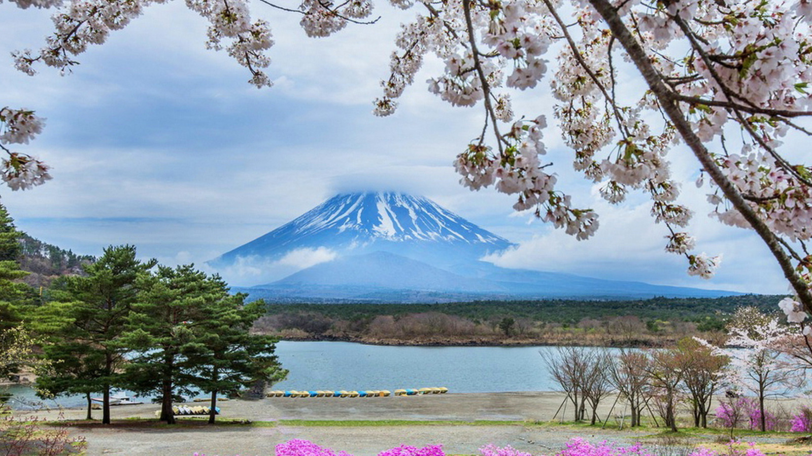 Das Spring in Japan Wallpaper 1600x900