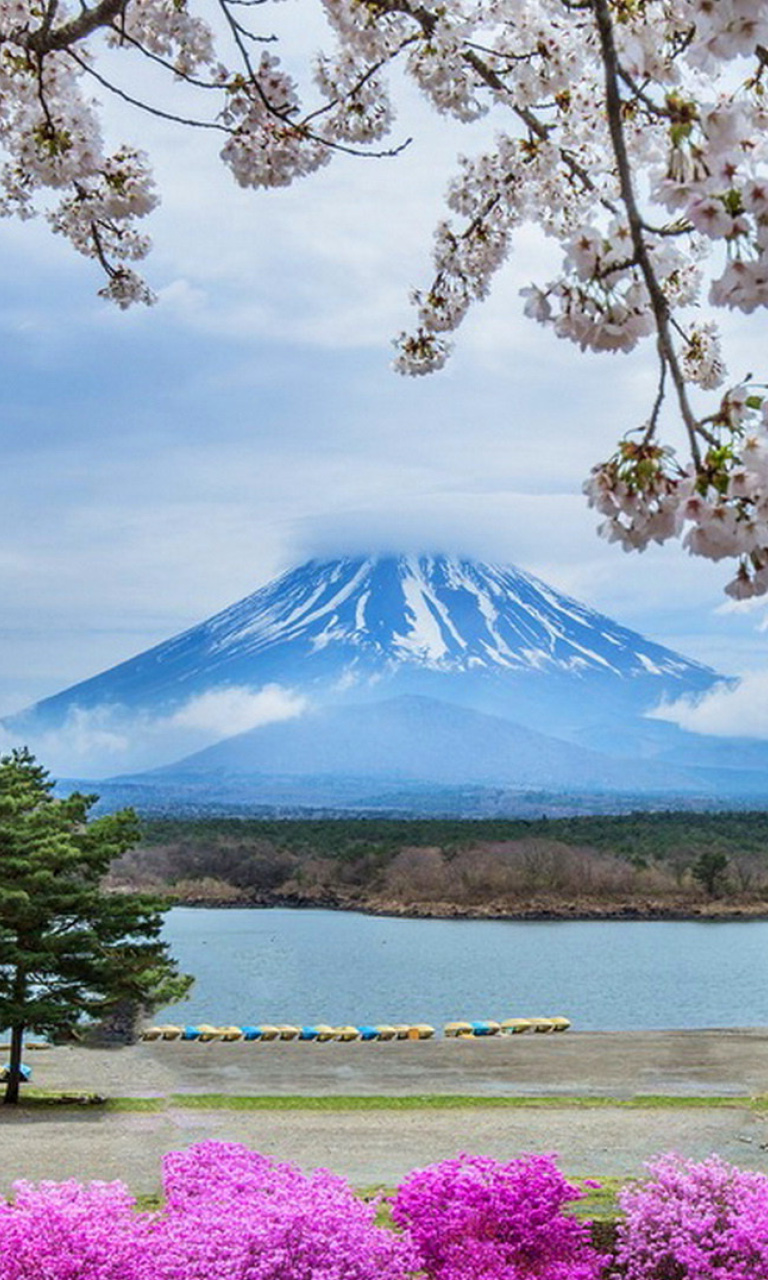 Das Spring in Japan Wallpaper 768x1280