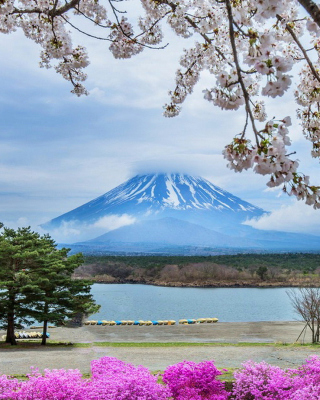 Spring in Japan - Obrázkek zdarma pro 128x160