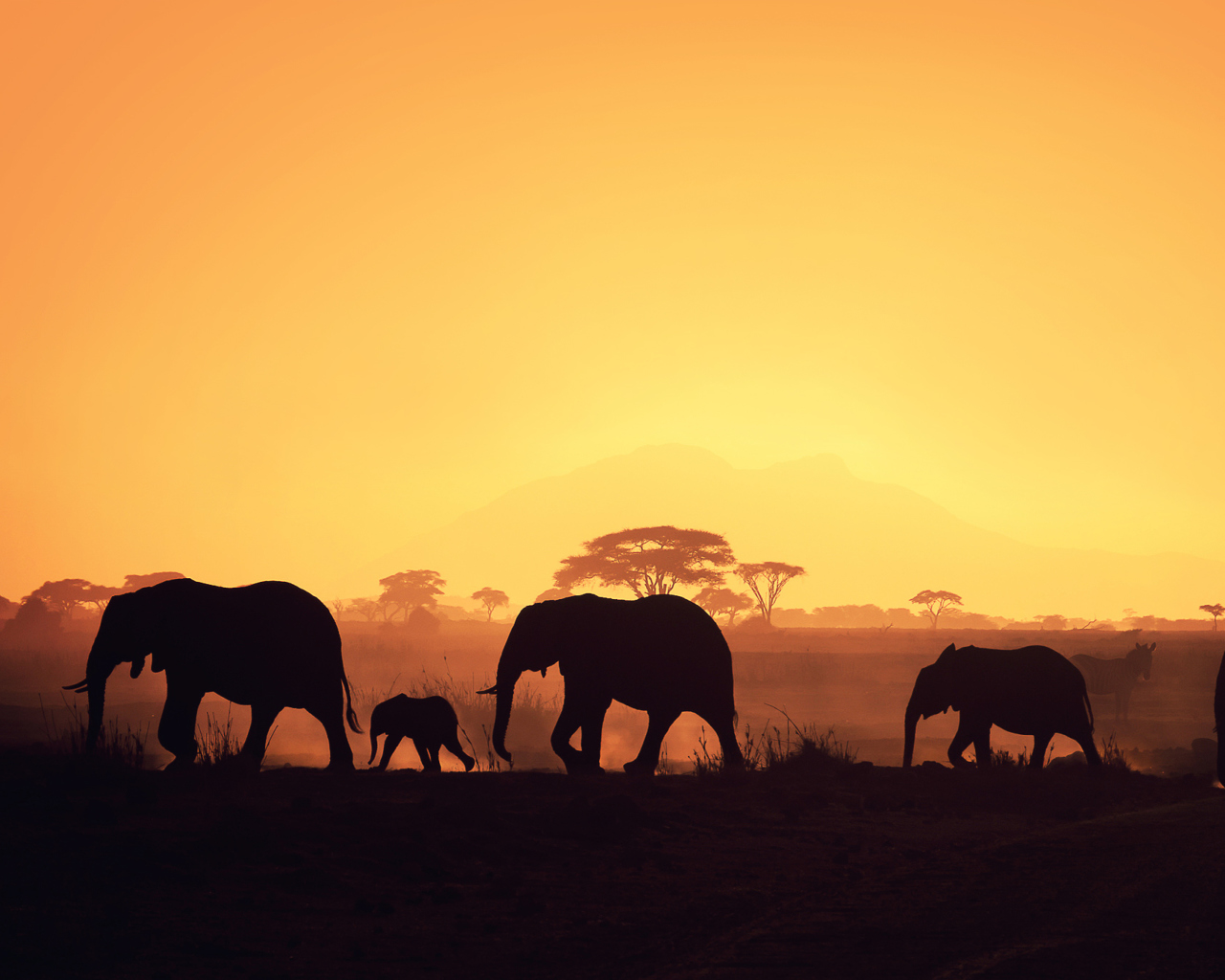 African Silhouettes wallpaper 1280x1024