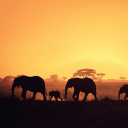African Silhouettes wallpaper 128x128