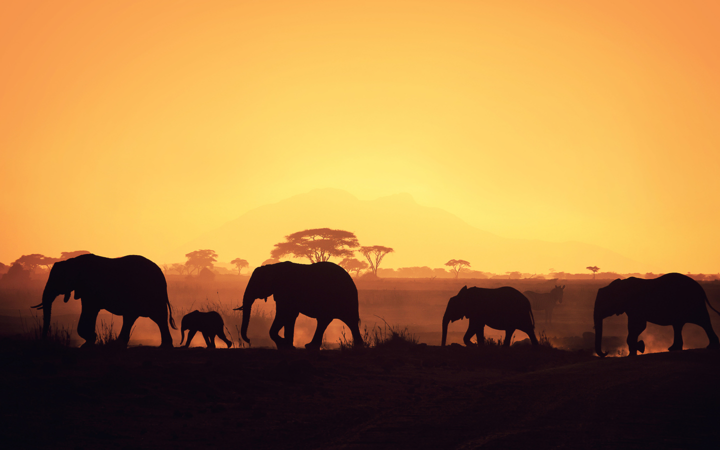 African Silhouettes wallpaper 1440x900