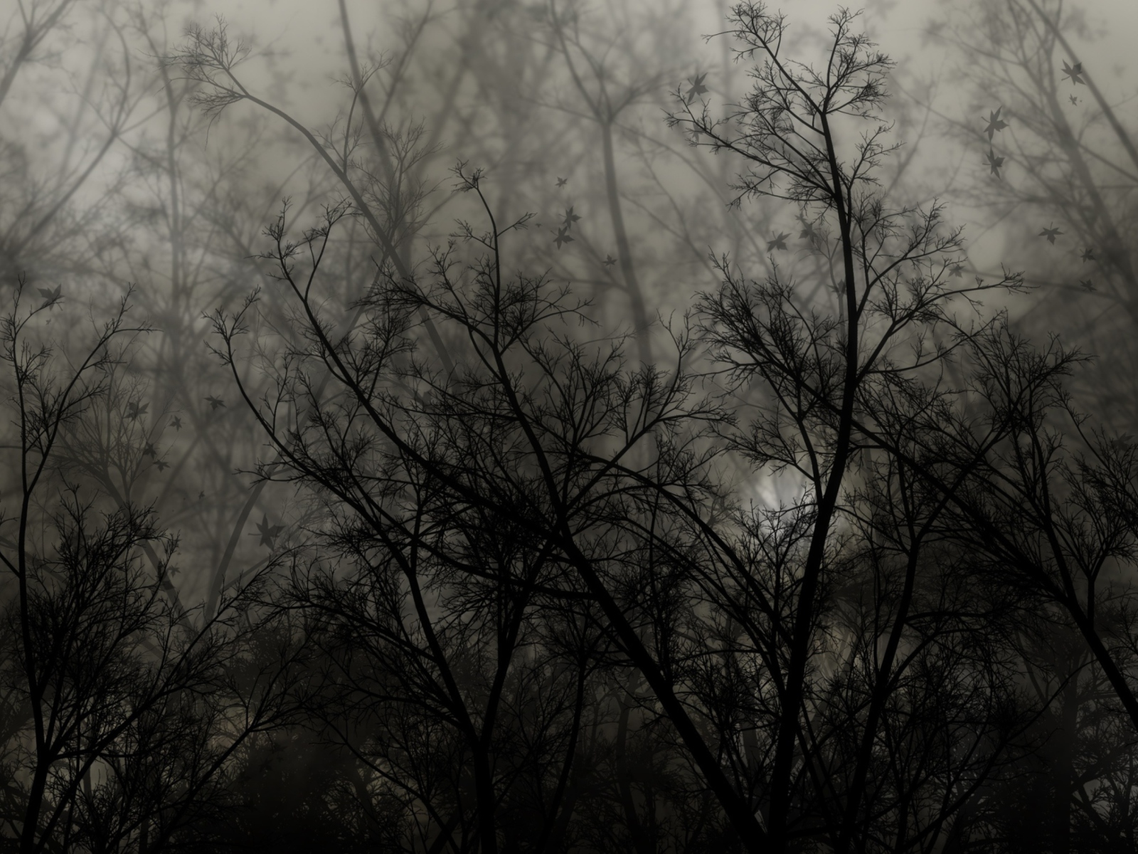 Dark Forest wallpaper 1600x1200