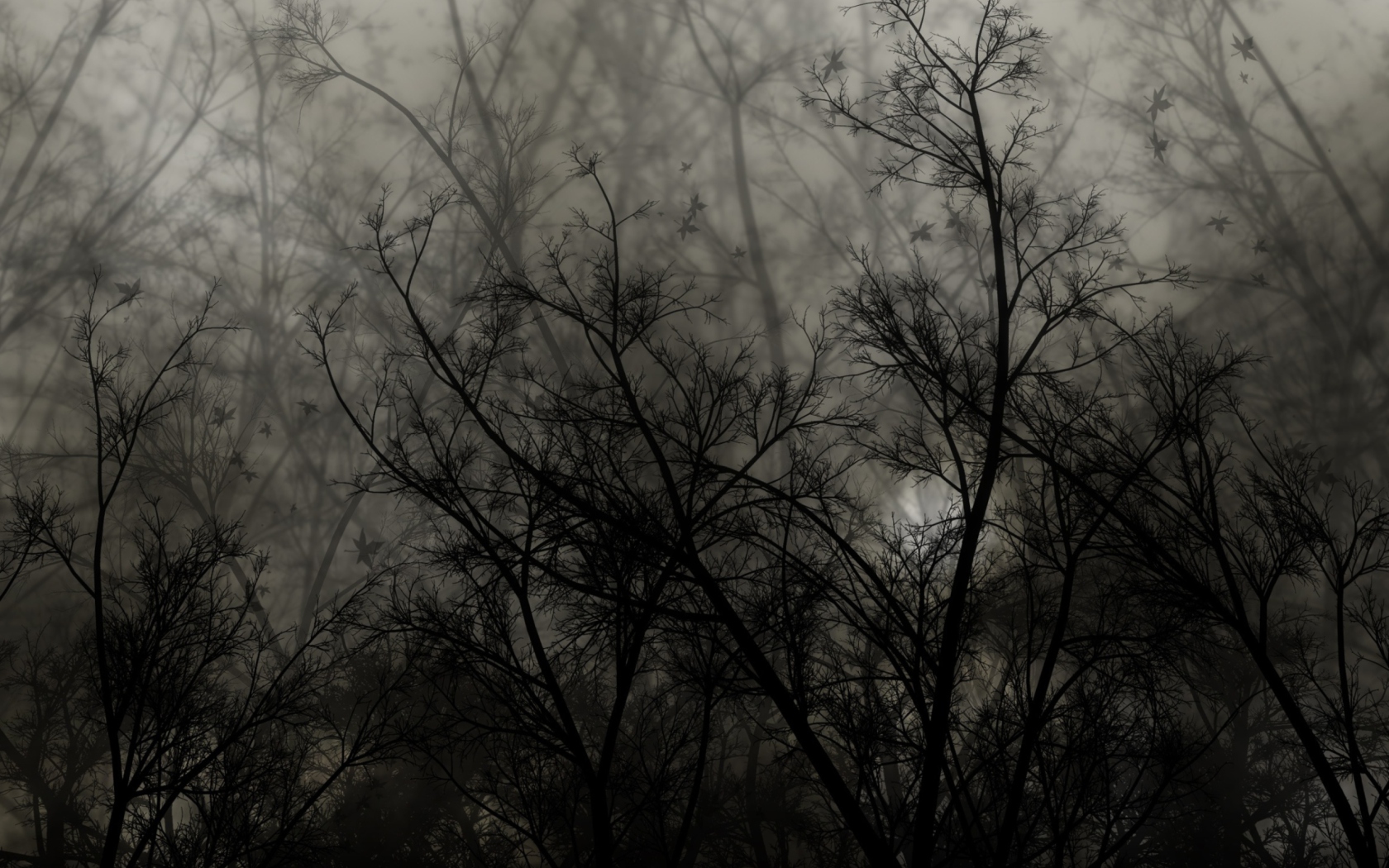 Fondo de pantalla Dark Forest 1680x1050