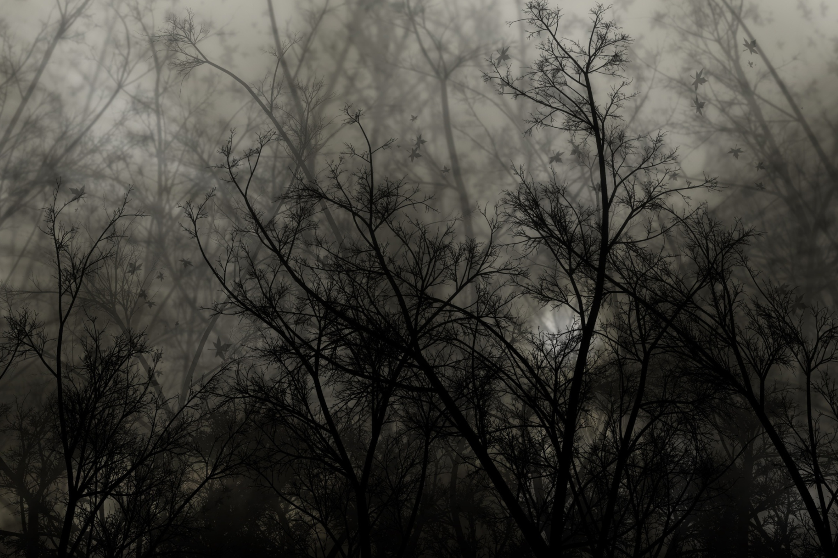Das Dark Forest Wallpaper 2880x1920