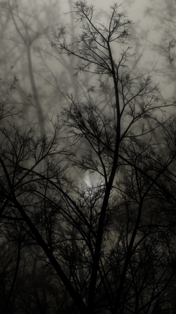 Dark Forest screenshot #1 360x640