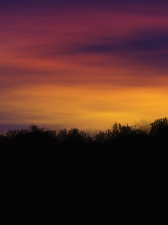 Sunset screenshot #1 240x320