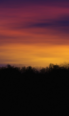Sunset screenshot #1 240x400