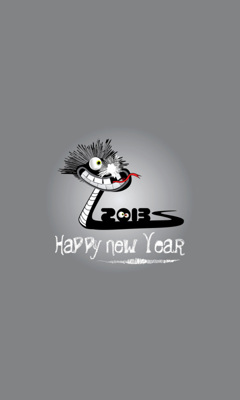 Fondo de pantalla Happy 2013 Snake Year 480x800