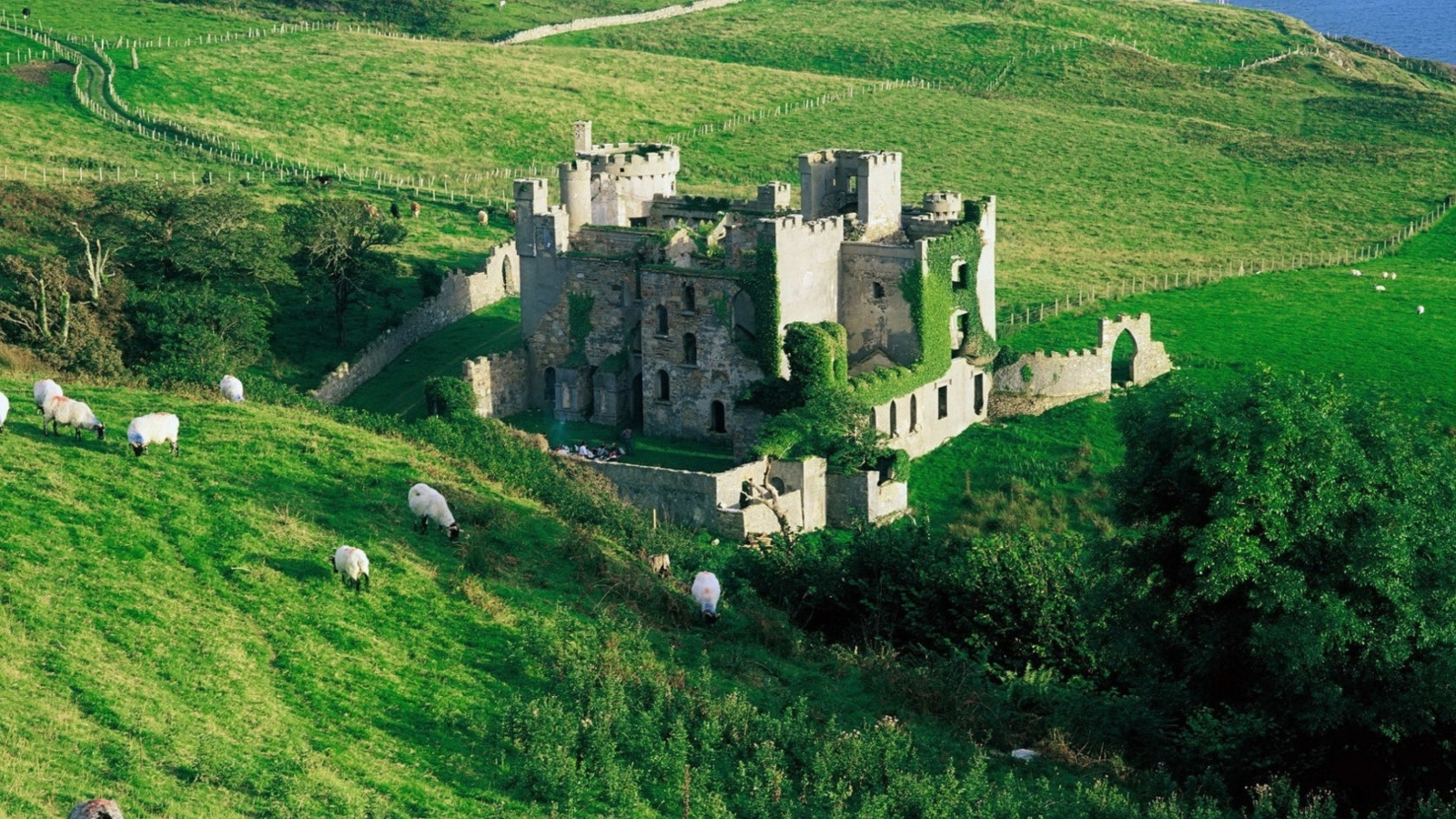 Medieval Castle On Green Hill wallpaper 1600x900