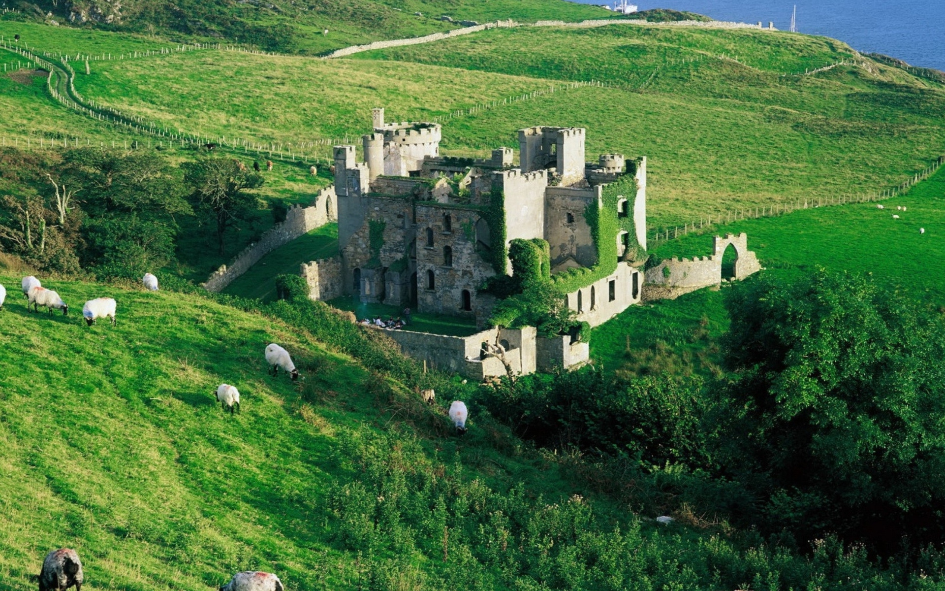 Medieval Castle On Green Hill wallpaper 1920x1200