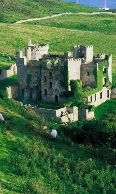 Das Medieval Castle On Green Hill Wallpaper 240x400