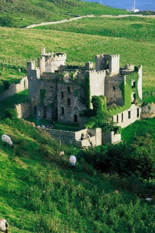 Sfondi Medieval Castle On Green Hill 320x480