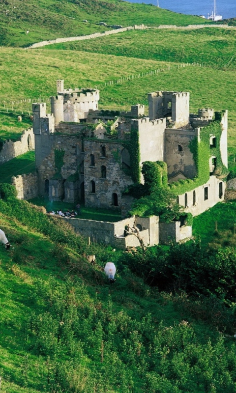 Medieval Castle On Green Hill wallpaper 480x800