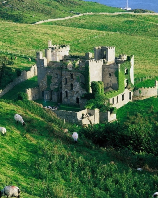 Medieval Castle On Green Hill Wallpaper for Nokia C1-01