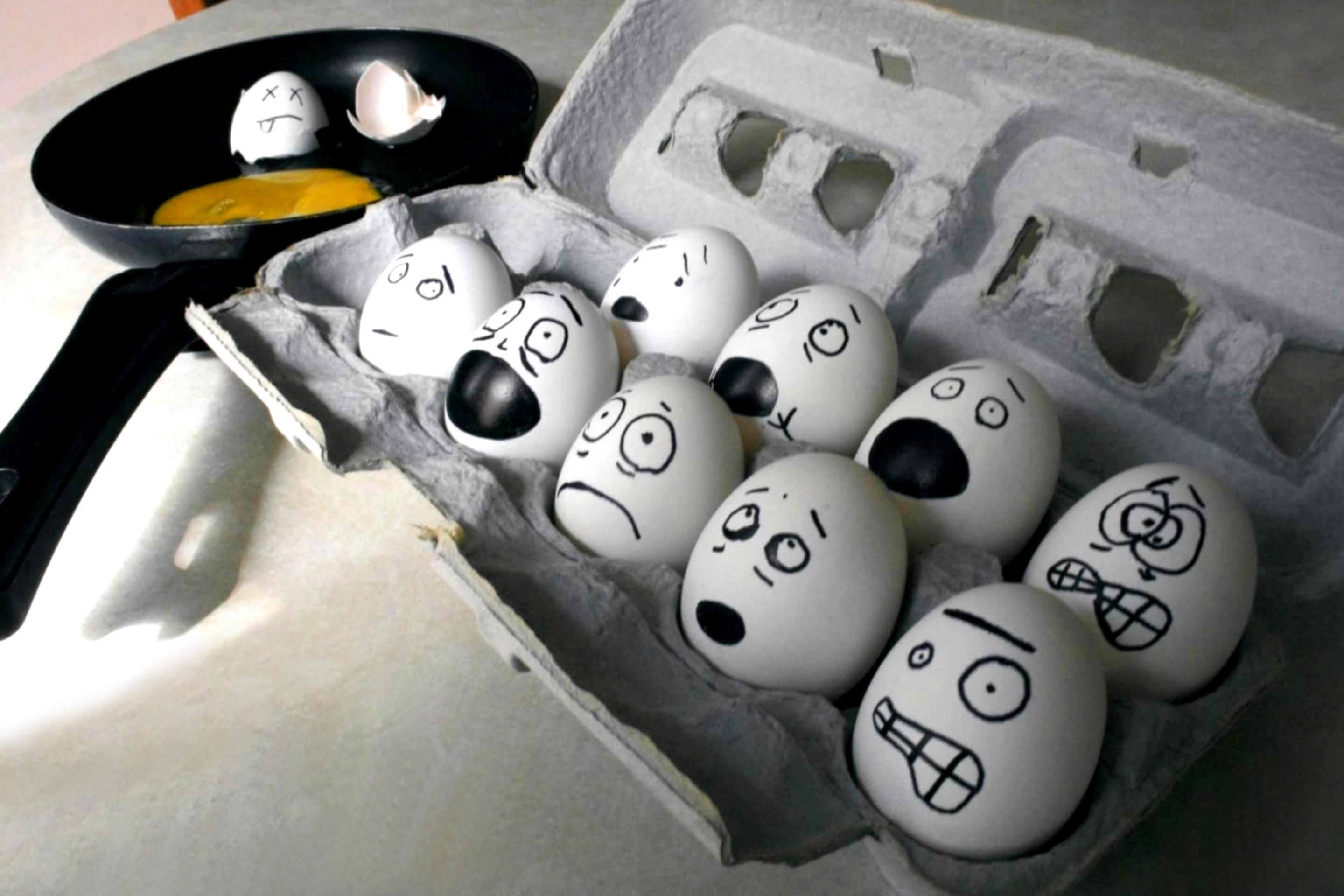 Обои Funny Eggs 2880x1920