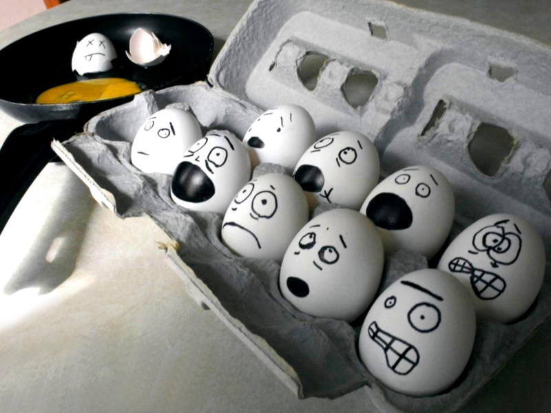 Das Funny Eggs Wallpaper 800x600