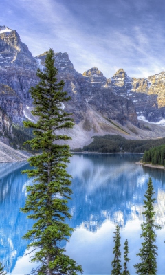 Sfondi Lake in National Park 240x400