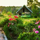 Country house with flowers wallpaper 128x128
