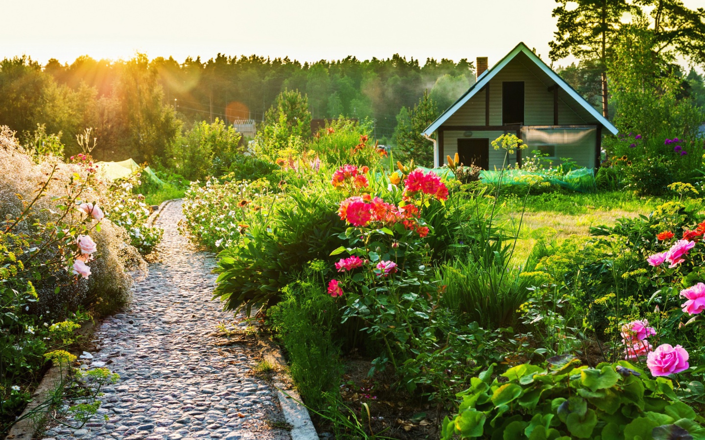 Country house with flowers wallpaper 1440x900