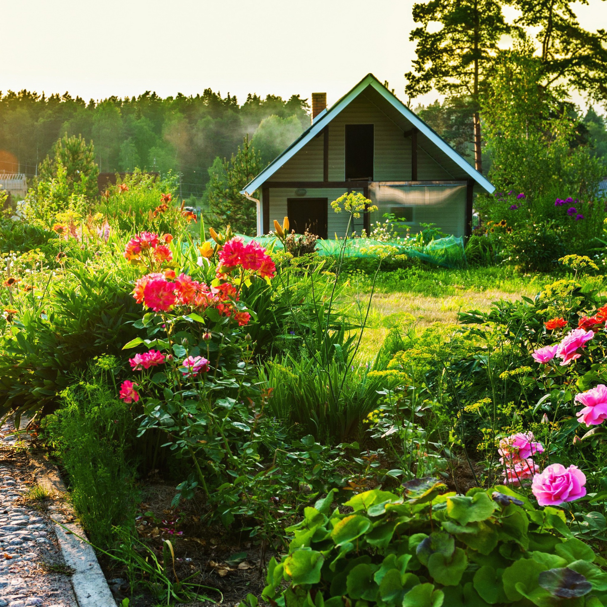 Загородная природа. Дачный участок. Красивая дача. Красивый сад. Домик в цветах.
