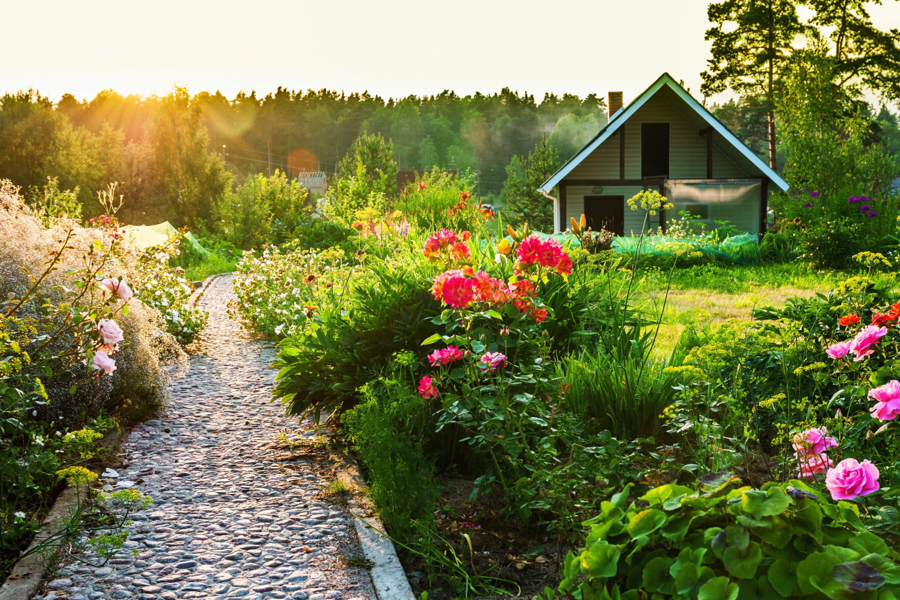 Country house with flowers wallpaper 2880x1920