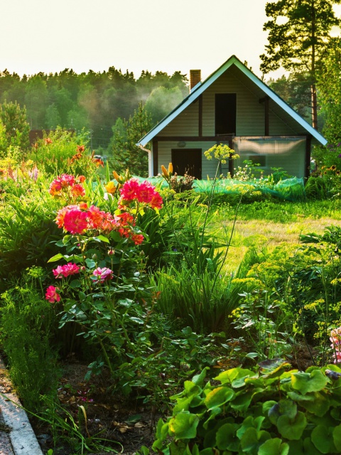 Country house with flowers wallpaper 480x640