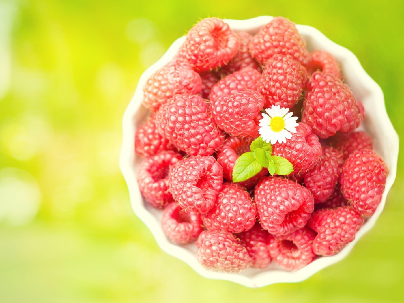 Sfondi Little Daisy Among Red Raspberries 1400x1050