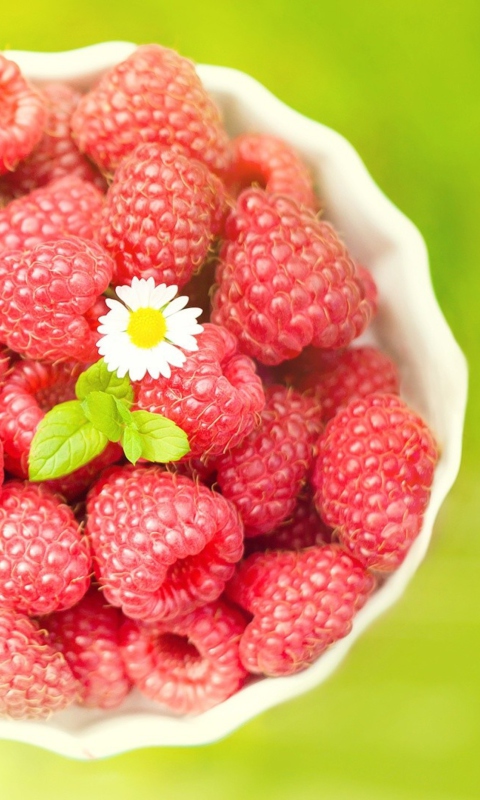 Sfondi Little Daisy Among Red Raspberries 480x800