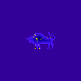Taurus - Obrázkek zdarma pro 2048x2048