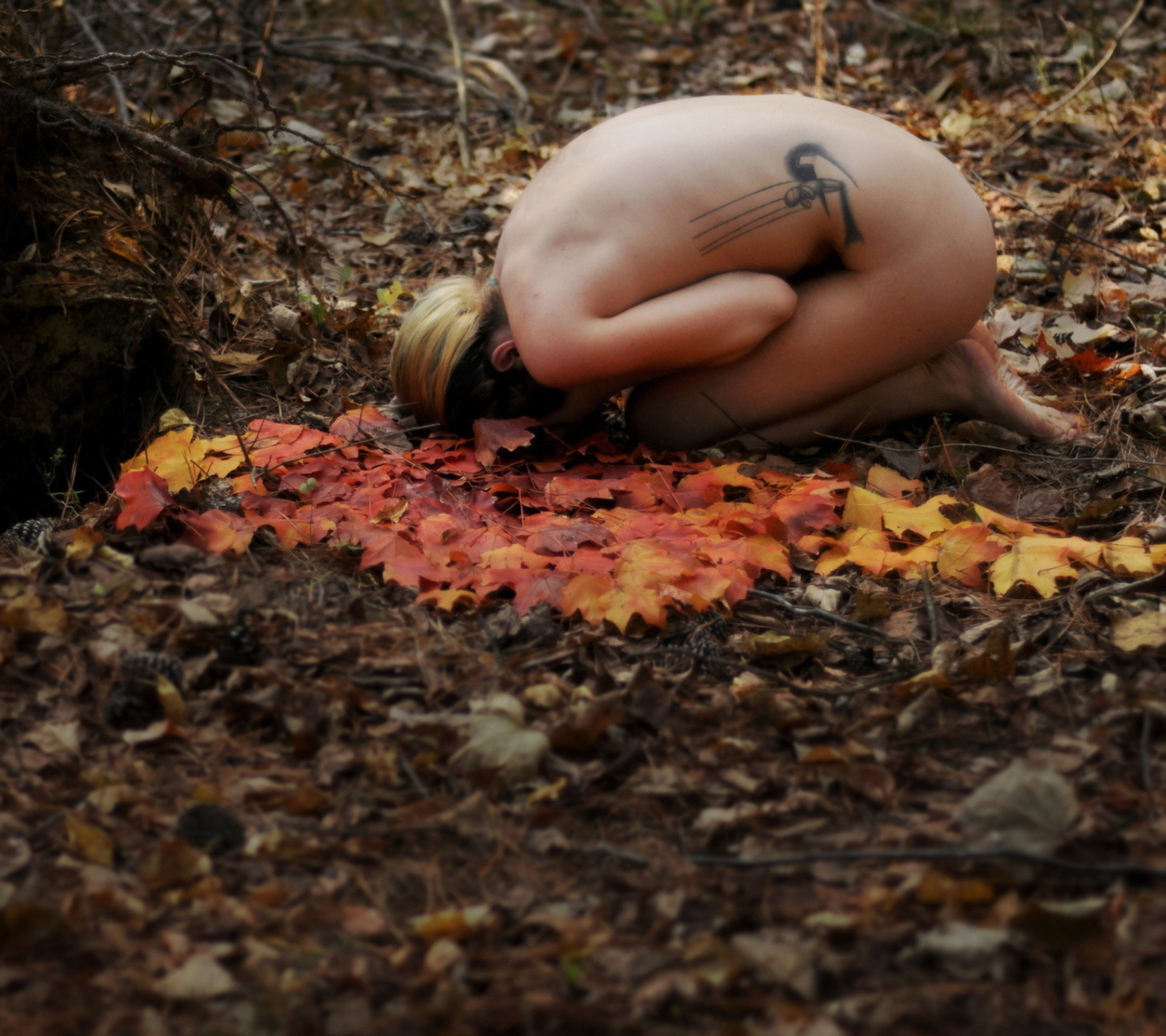 Sfondi Girl In Forest 1440x1280