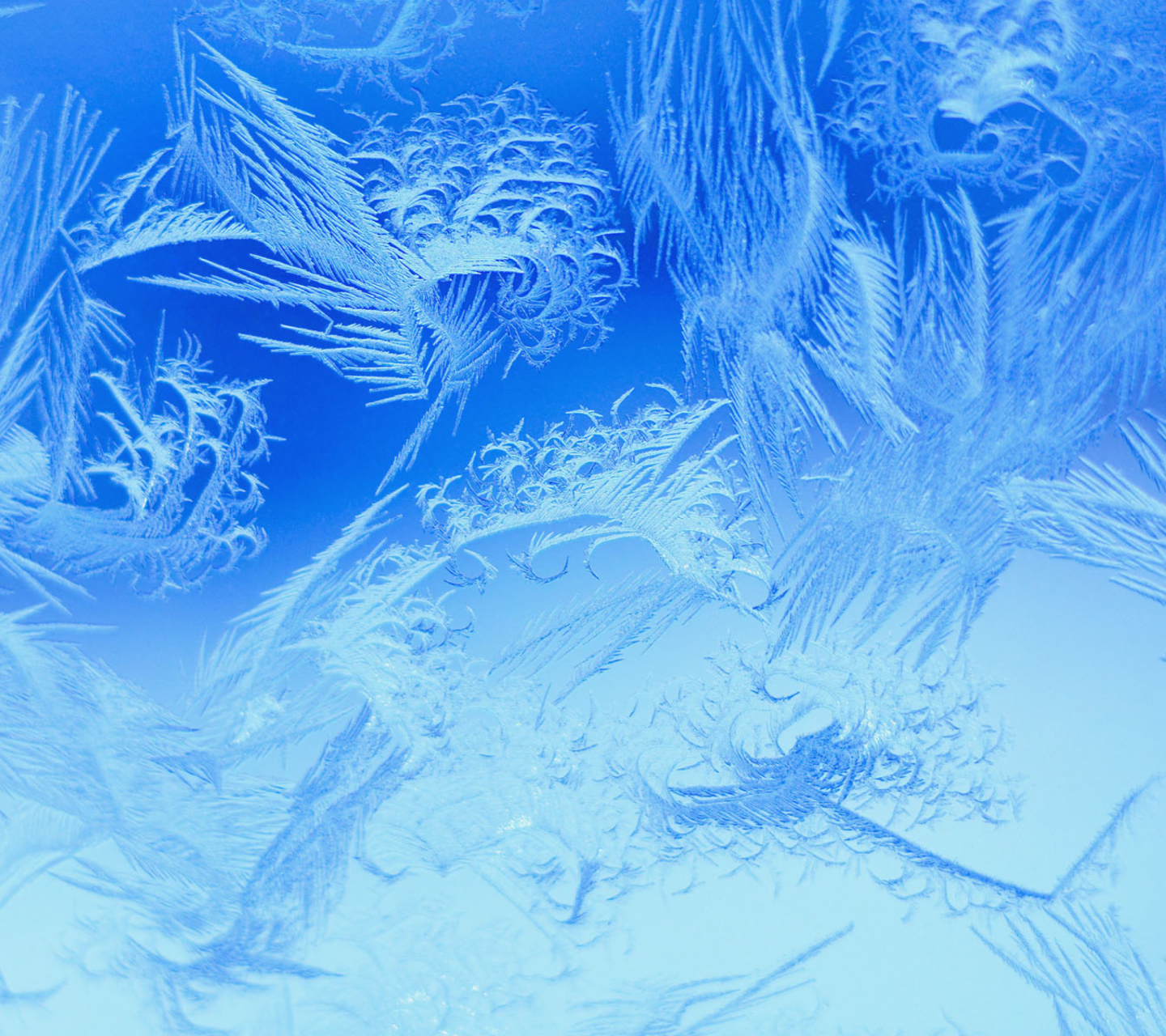 Das Winter Window Design Wallpaper 1440x1280