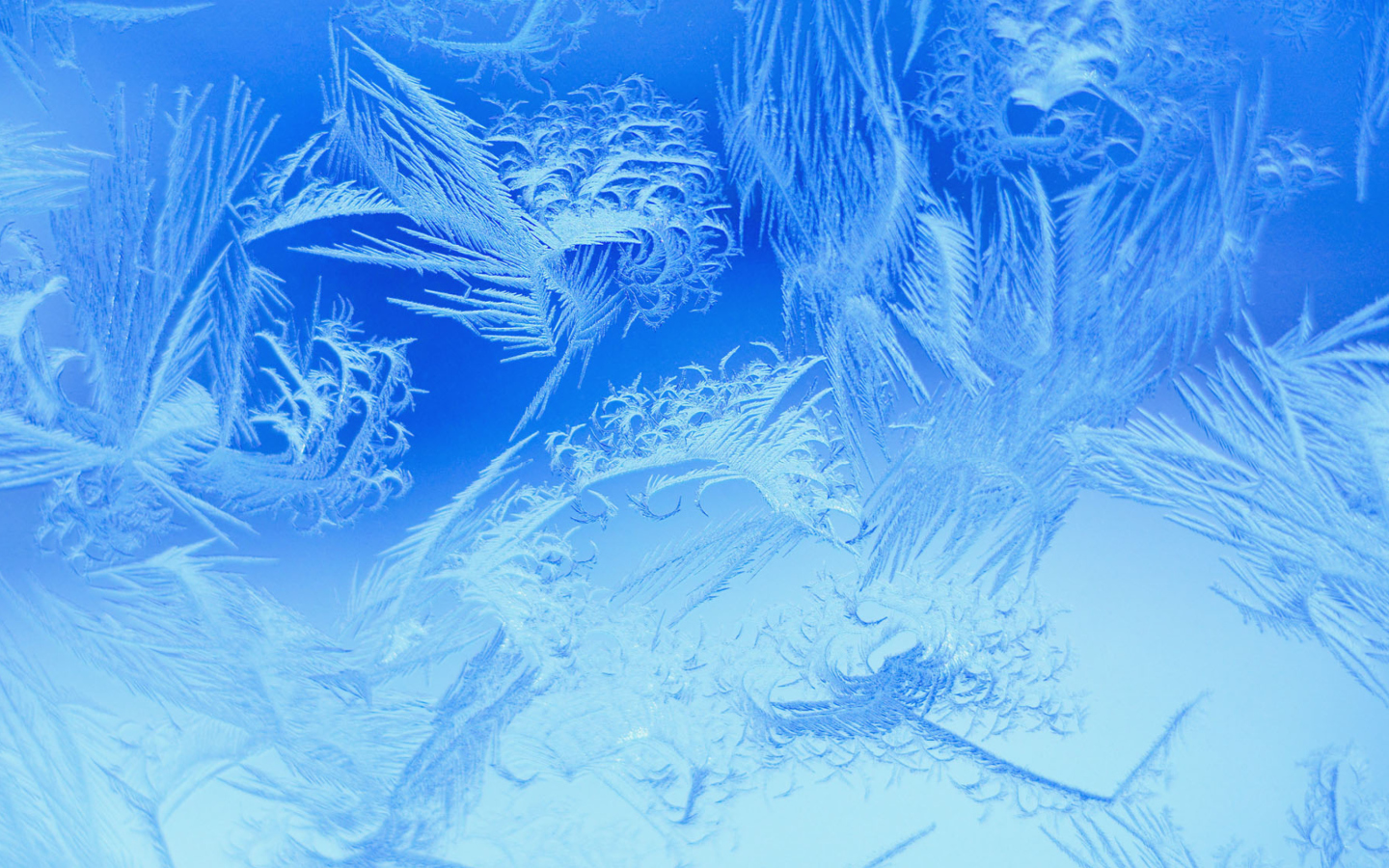 Screenshot №1 pro téma Winter Window Design 1440x900
