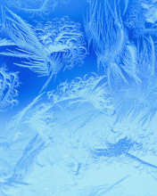 Winter Window Design wallpaper 176x220