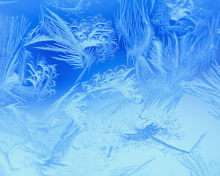 Das Winter Window Design Wallpaper 220x176