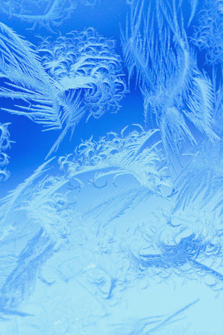 Das Winter Window Design Wallpaper 320x480