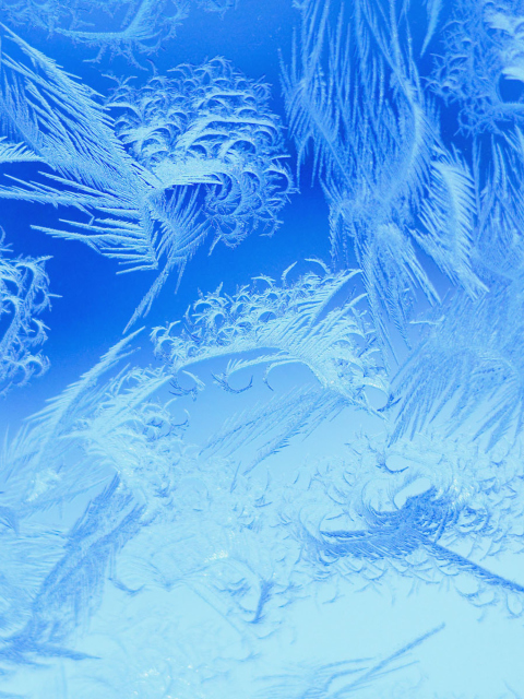 Screenshot №1 pro téma Winter Window Design 480x640