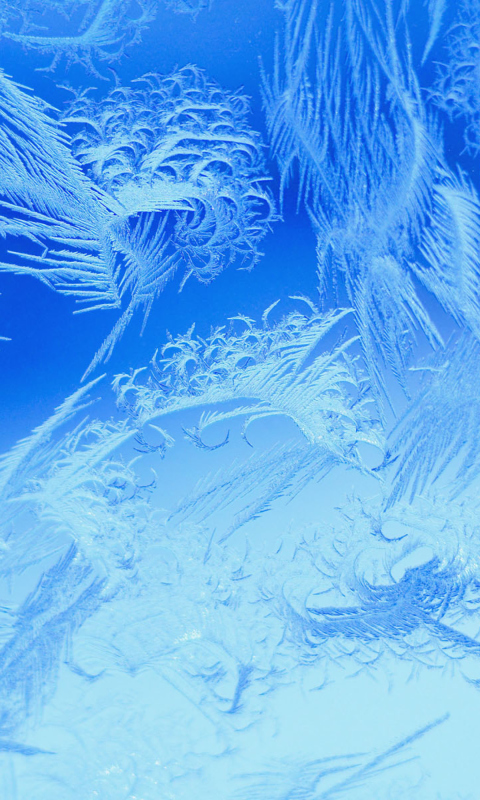 Winter Window Design wallpaper 480x800