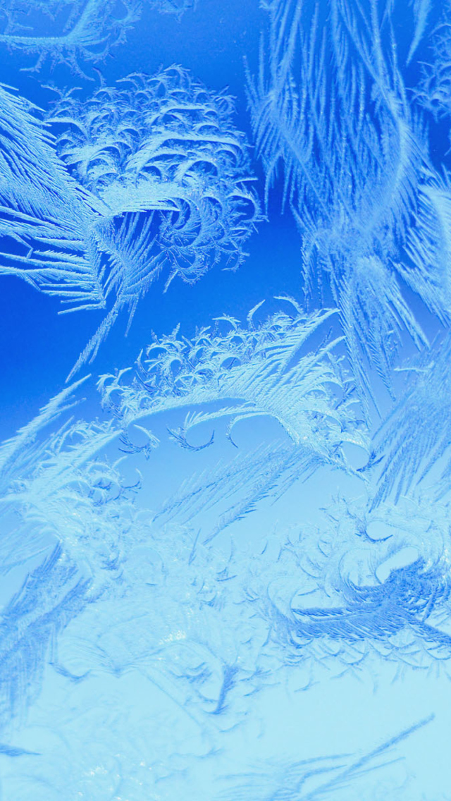 Winter Window Design screenshot #1 640x1136