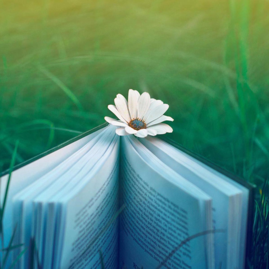 Flower And Book wallpaper 1024x1024