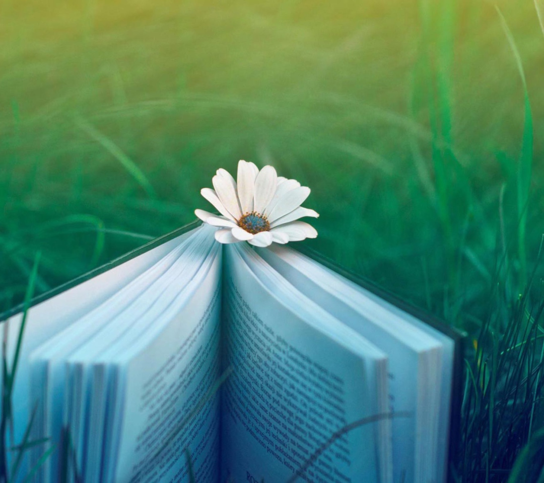 Das Flower And Book Wallpaper 1080x960