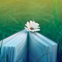 Flower And Book wallpaper 128x128