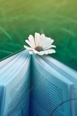 Flower And Book wallpaper 320x480