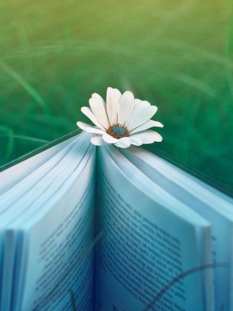 Fondo de pantalla Flower And Book 480x640